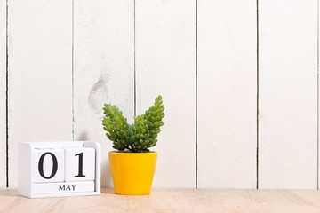 May 1st. Happy Labor Day. Image of may 01 white block calendar on white background with with ornamental plants in flowerpots. Spring day, empty space for text. International Workers' Day