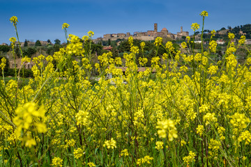 Obraz premium Italy, Tuscany, Volterra, landscape