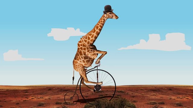 giraffe biker
