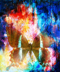  illustration of a butterfly, mixed medium, abstract color background