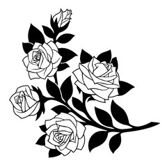 vector illustration, decoration element, black rose branch with white flowers