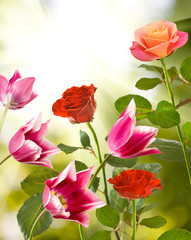 image of beautiful flowers in the garden on rays background
