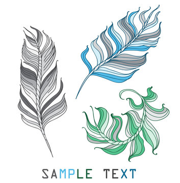 feathers different color on a white background hand drawn vector illustration