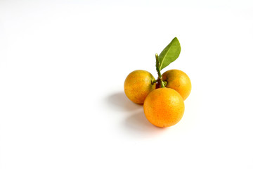 Kumquat on white background