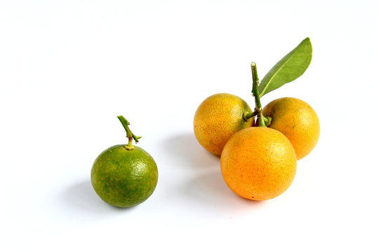 Kumquat on white background
