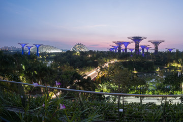 Garden By The Bay at morning