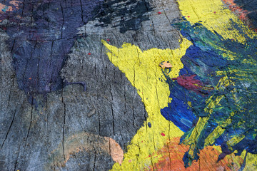 Close-up of multi coloured tree stump  3