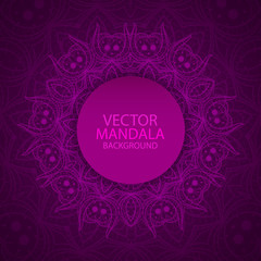 Vector mandala. Ethnic indian ornament. Colorful bright mandala. Abstract vector mandala. Mandala background.