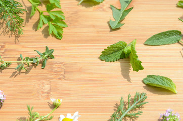 herbal leaves on wooden board