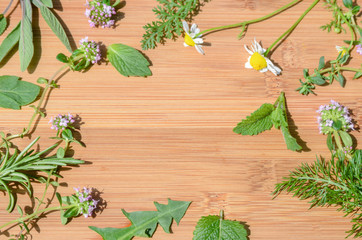 Naklejka na ściany i meble herbal leaves on wooden board