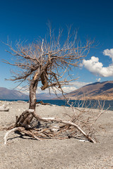 Lake Wanaka