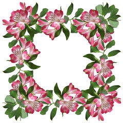 Delicate floral background. Alstroemeria 