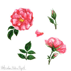 Watercolor Nature Clipart - Flowers