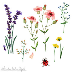 Watercolor Nature Clipart - Flowers