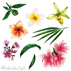 Fototapeta premium Watercolor Nature Clipart - Flowers