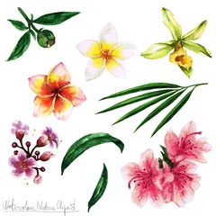 Foto op Canvas Watercolor Nature Clipart - Flowers © nataliahubbert