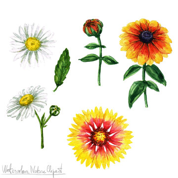 Watercolor Nature Clipart - Flowers