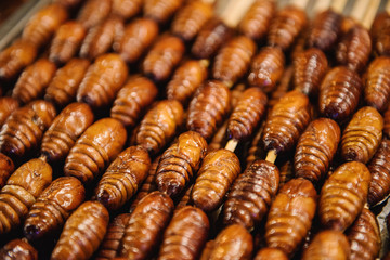 Bugs and worms in a asian food market in Beijing, China.