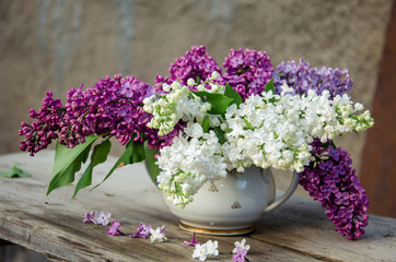 Violet, purple and white lilac in a vase.