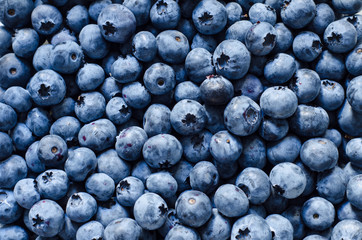 blueberry background
