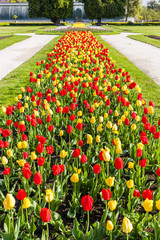 garden of Lednice Palace, Czech Republic