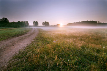 Fototapeta premium Sunset over fileds of ripening barley near Wadebridge in Cornwall