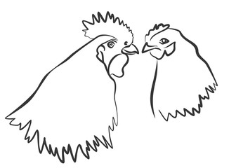 Rooster and chicken. 