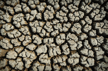 Drought land dry and cracked soil in arid season