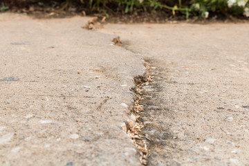 crack on asphalt road texture