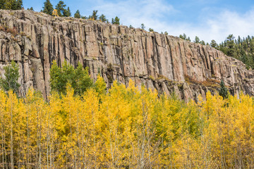 Golden Aspen Forest with Rocky Mountain in the San Juan Forest in Colorado