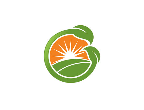 Leaf Nature Logo