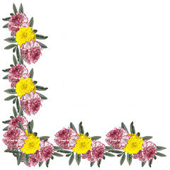 Delicate floral background. Carnations and marigolds 
