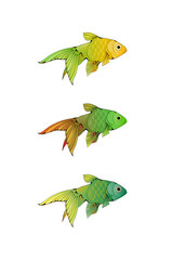 Hand-drawn ink-stylized little colorful aquarium fishes isolated on white