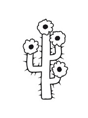 beautiful flower blossoms large desert cactus spines