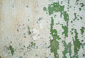 Abstract grunge background. Peeling green paint. Weathered peeling paint texture.