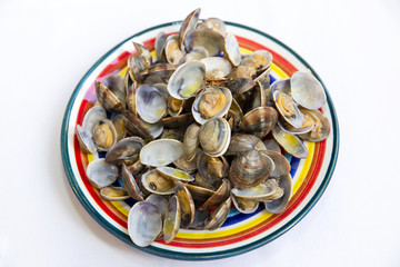 Clams