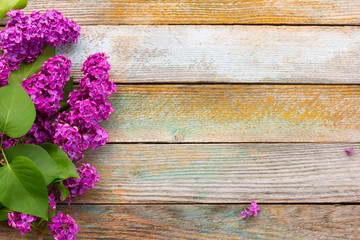 Fototapeta premium branch of purple lilac flowers with green leaves on wooden plank background. with space for posting information