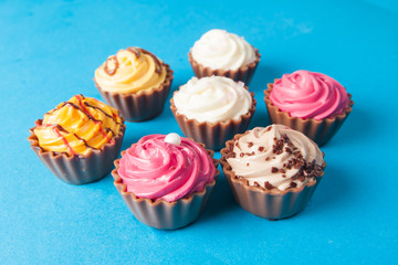 Colorful cupcakes.  Chocolate Cupcake