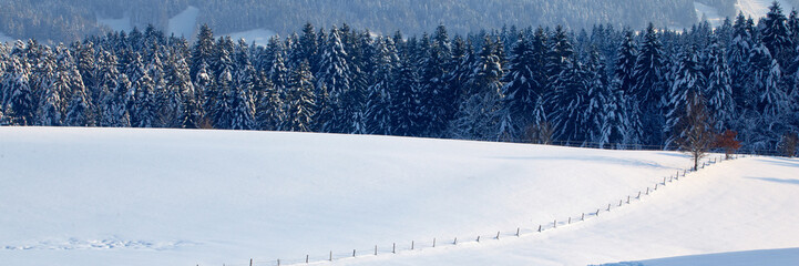 Winterlandschaft