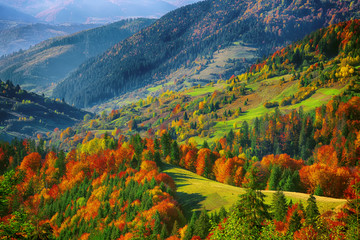 the mountain autumn landscape with colorful forest