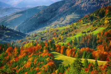 Schilderijen op glas the mountain autumn landscape with colorful forest © pilat666