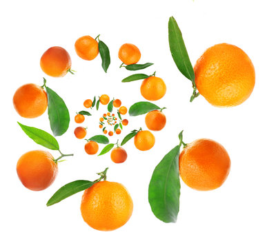 Tangerines spiral isolated on white