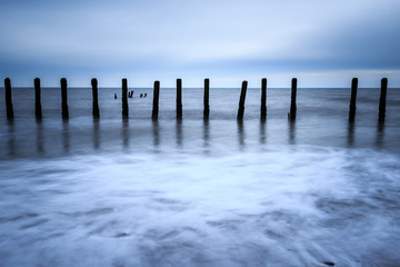 Wooden groynes