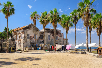 Big courtyard with big palms and old houses at the Goree island, Senegal. 