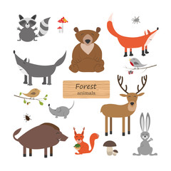 Obraz premium Forest animals in cartoon style on white background. Forest anim