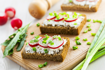 Open ray sandwiches with soft cream cheese and radish. Tasty summer snacks.