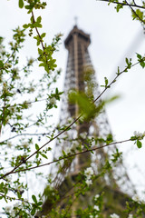 Eiffel Tower Spring in Paris France