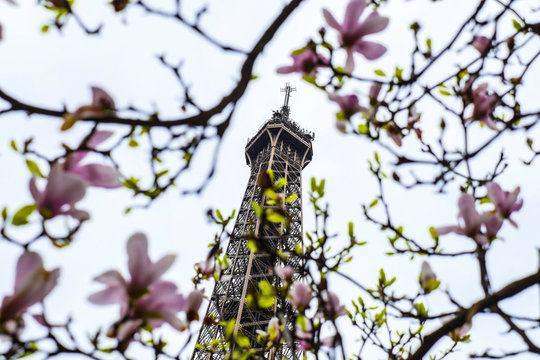 Eiffel Tower Spring in Paris France