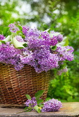 Fresh purple lilac flower bouquet on wood outdoors