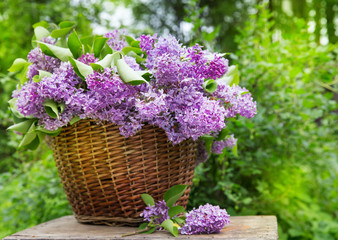 Fresh purple lilac flower bouquet on wood outdoors